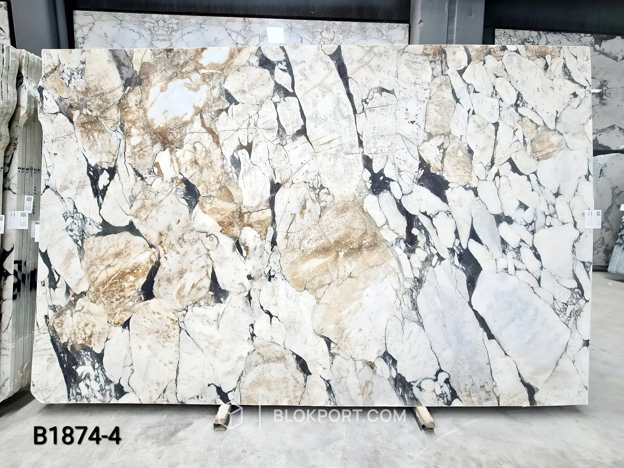 Calacatta Viola Honed Marble, photo 1 of 10