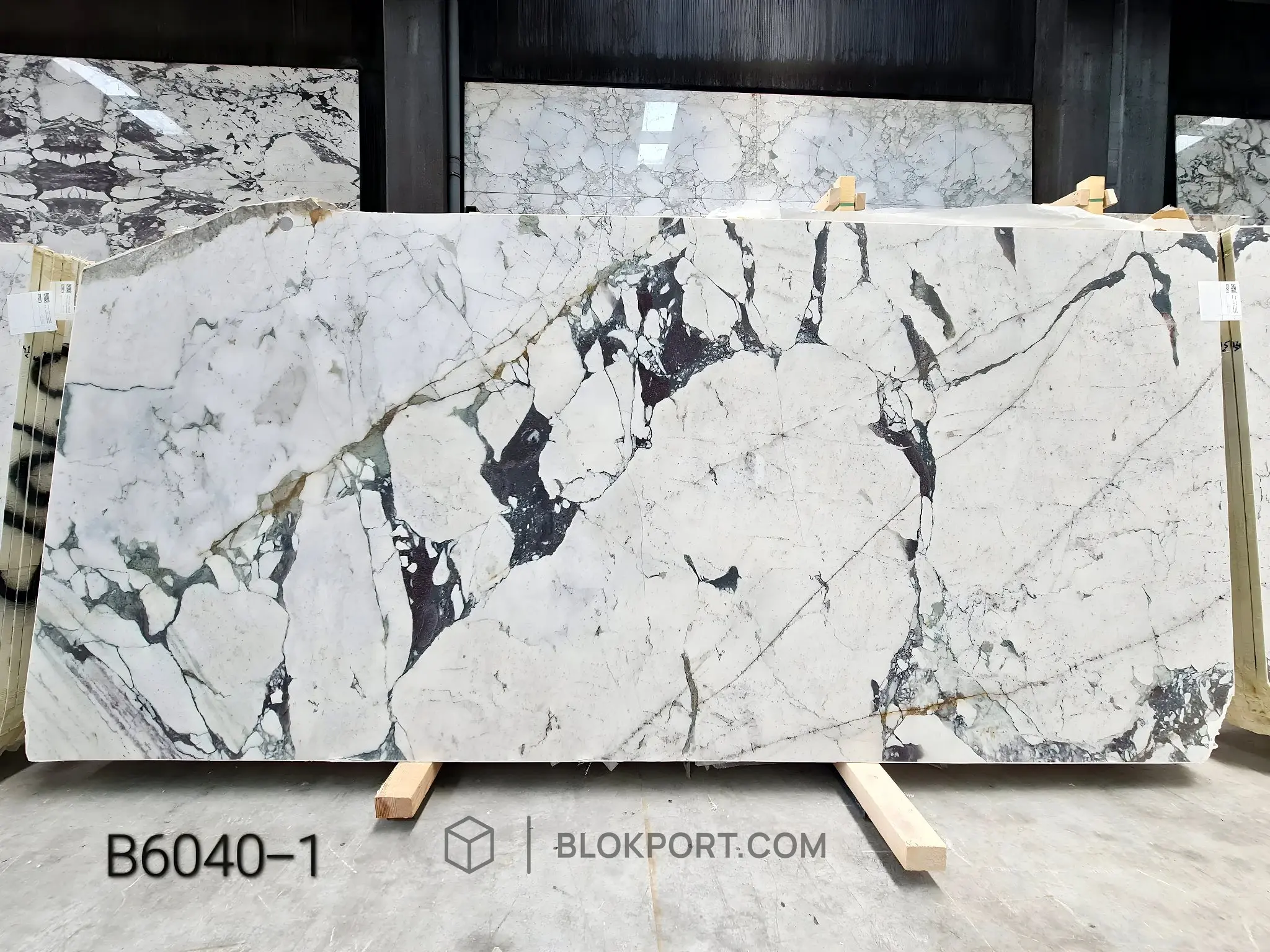 Calacatta Viola Honed Marble, photo 1 of 12