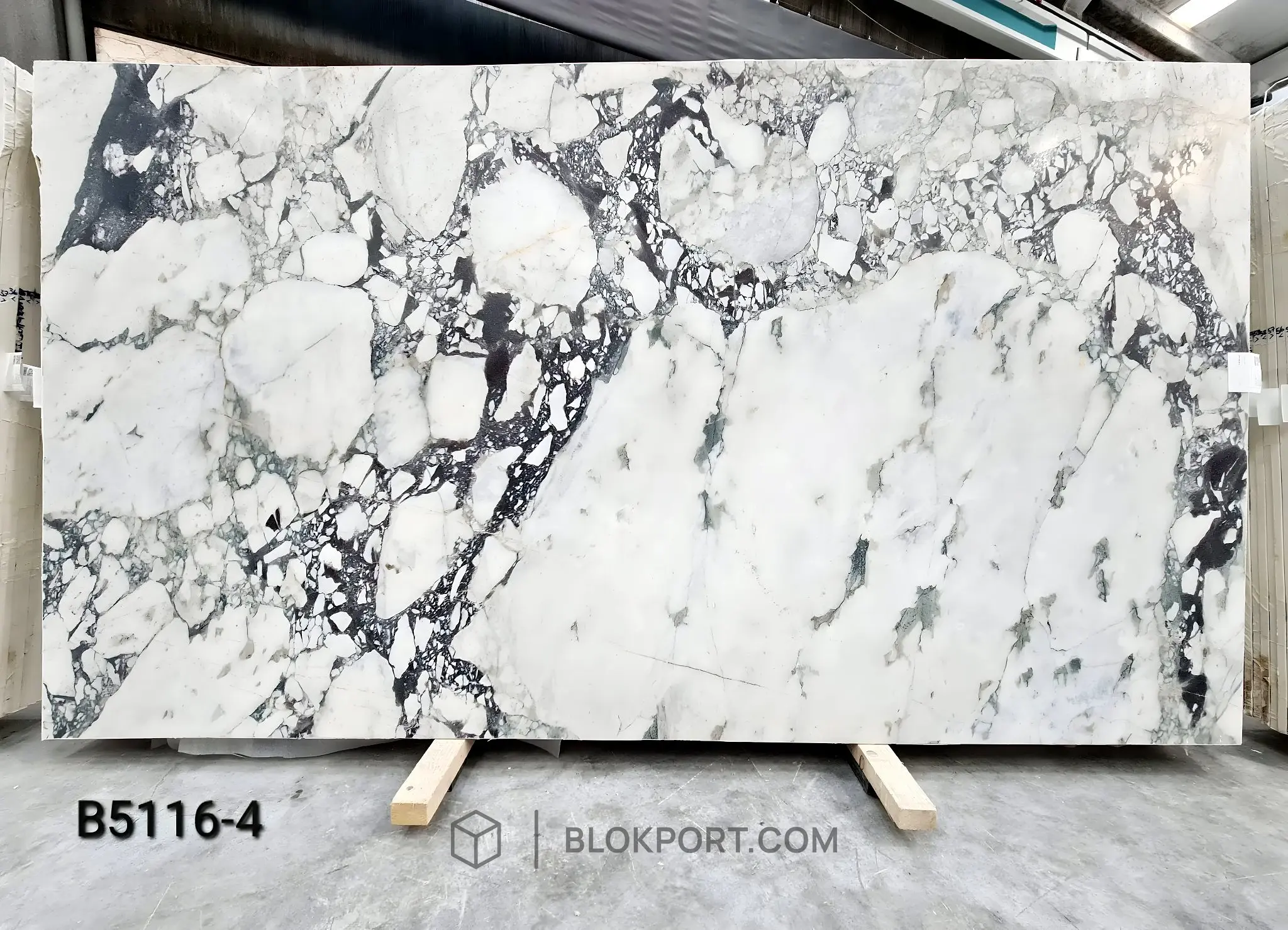 Calacatta Viola Honed Marble, photo 1 of 14