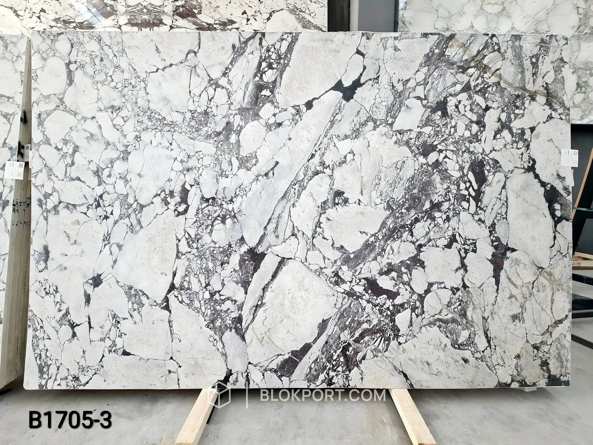 Calacatta Viola Honed Marble, photo 1 of 2