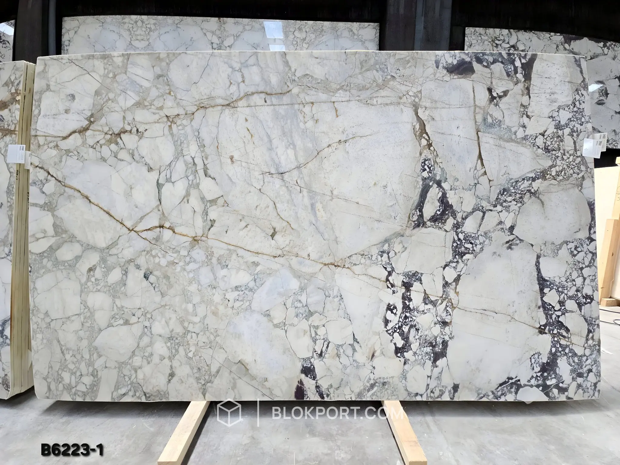 Calacatta Viola Honed Marble, photo 1 of 10
