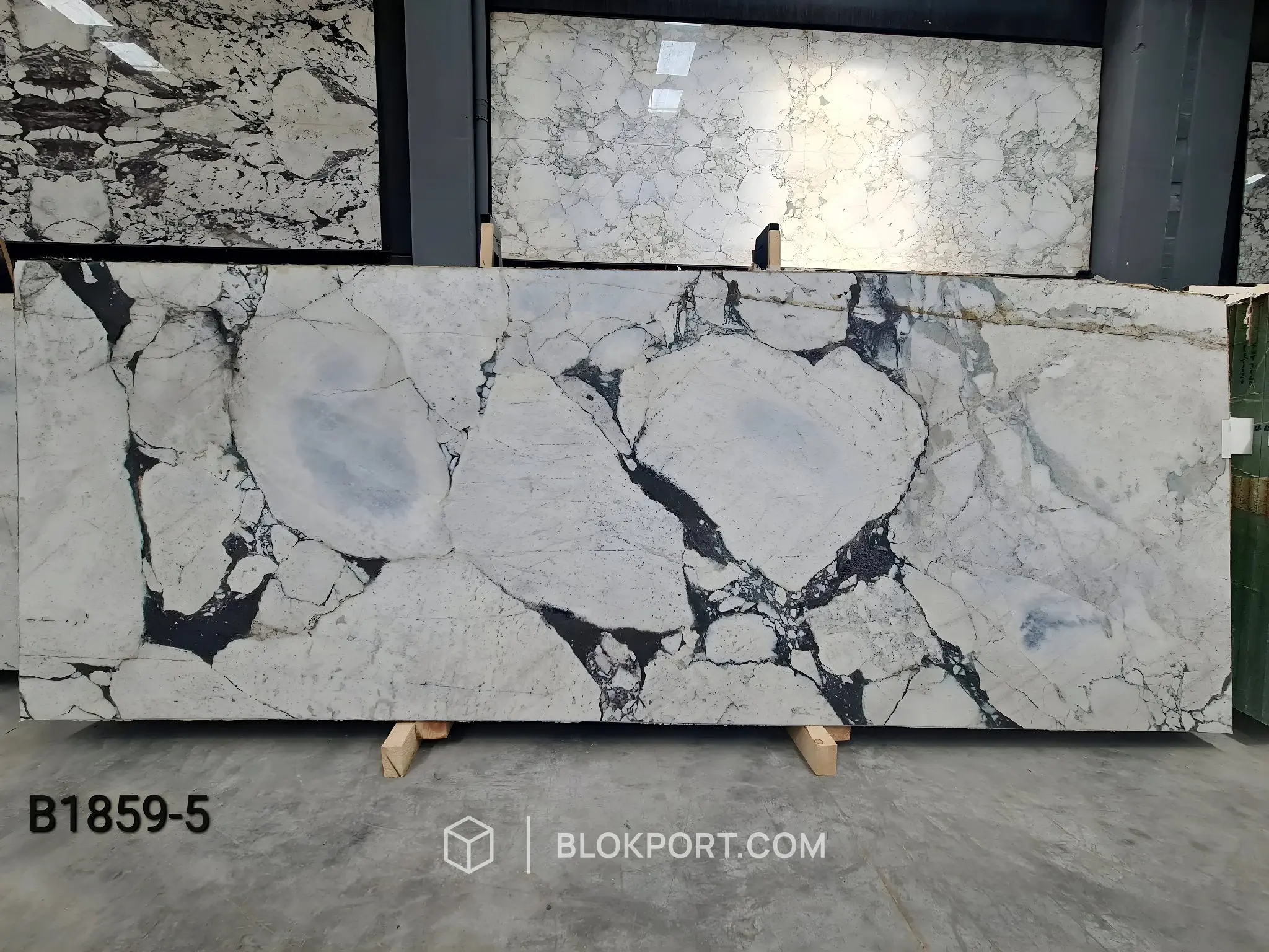 Calacatta Viola Honed Marble, photo 1 of 84