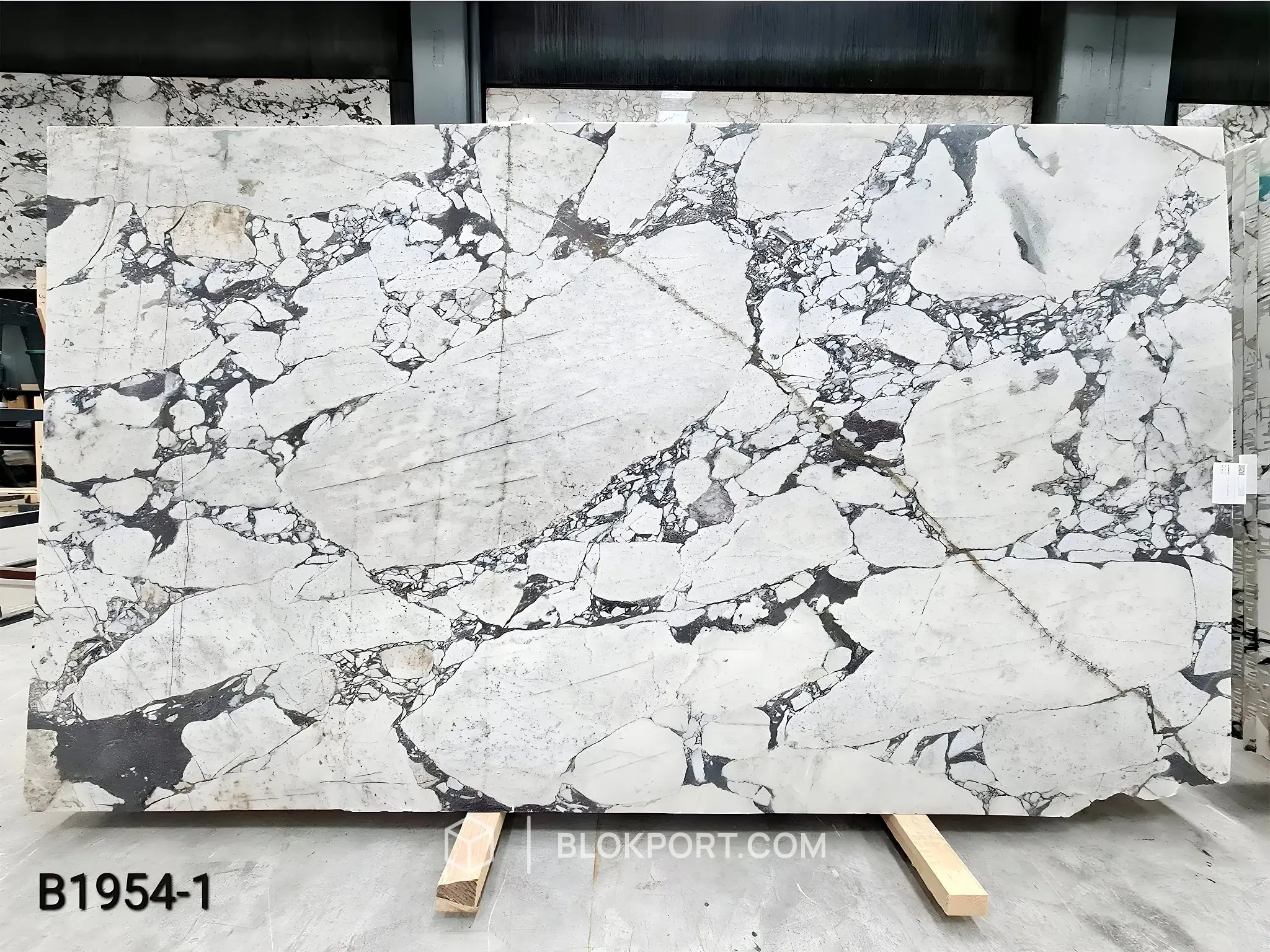Calacatta Viola Brushed Marble, photo 1 of 10