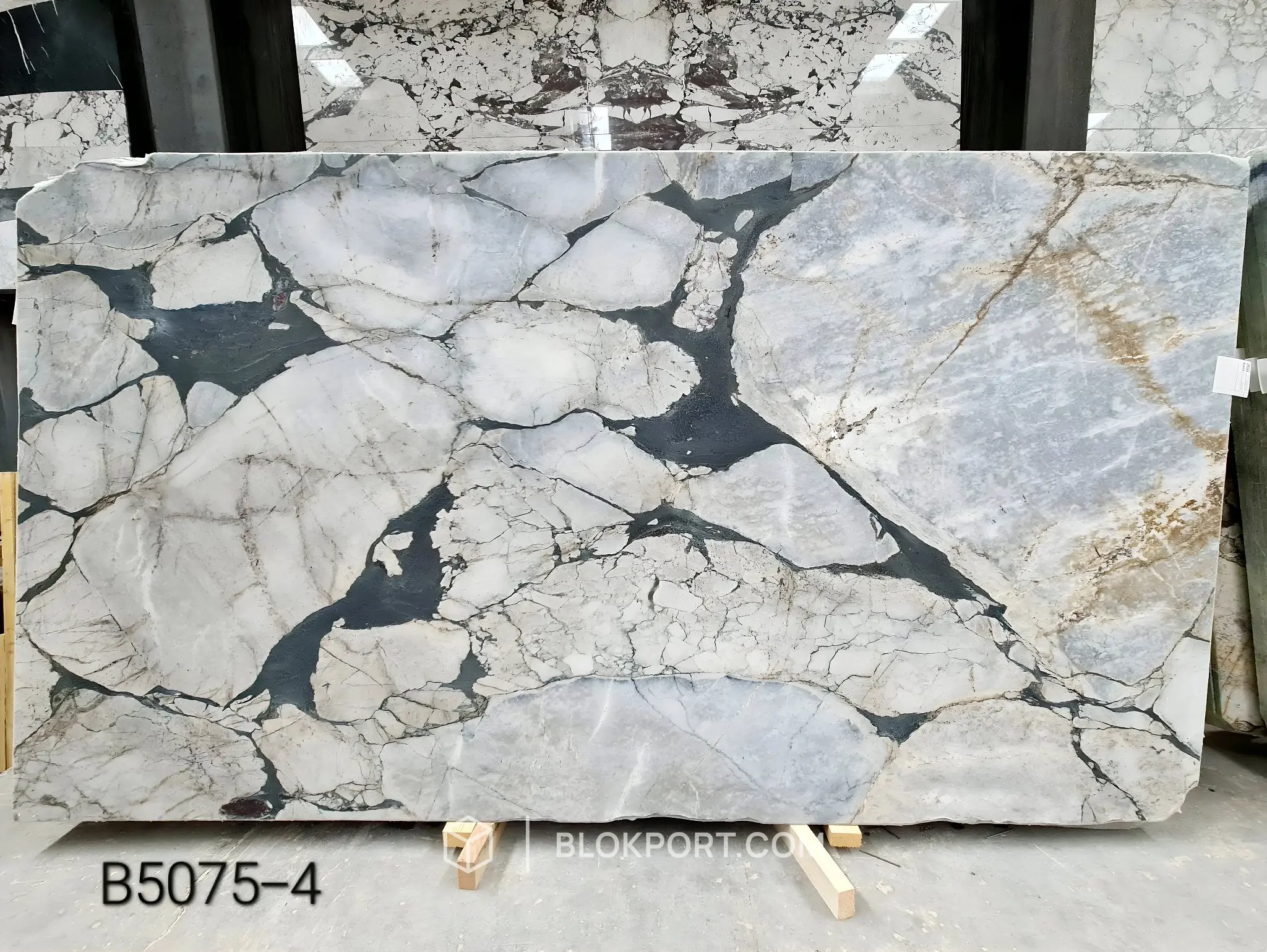 Calacatta Viola Honed Marble, photo 1 of 106