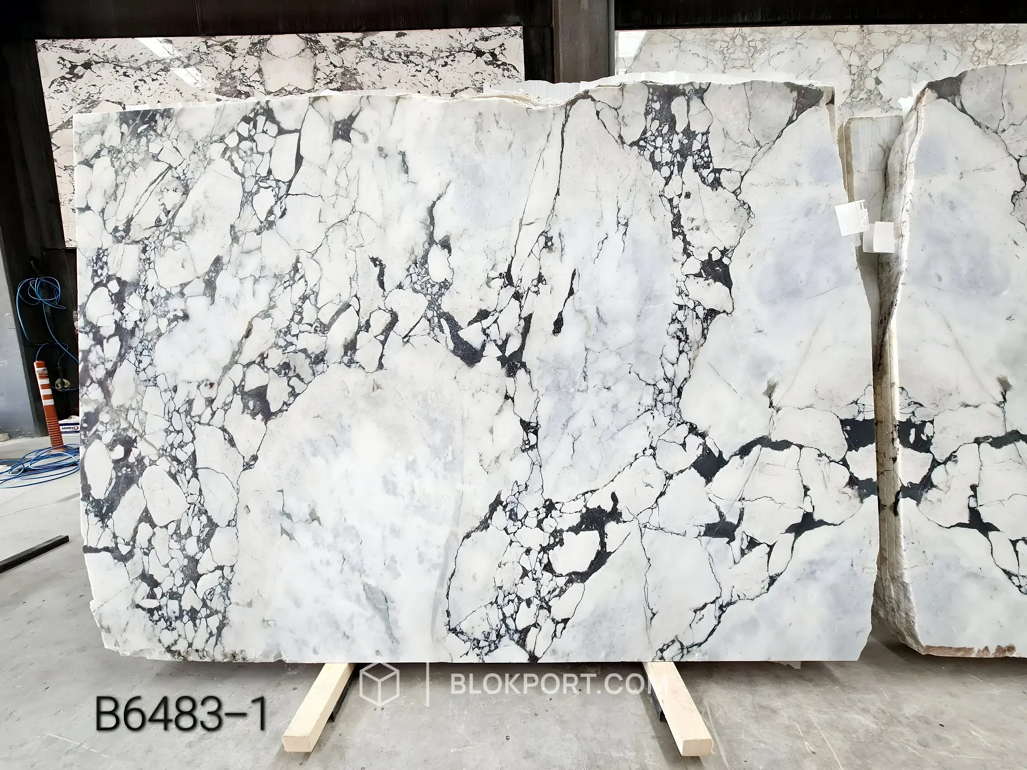Calacatta Viola Brushed Marble, photo 1 of 34