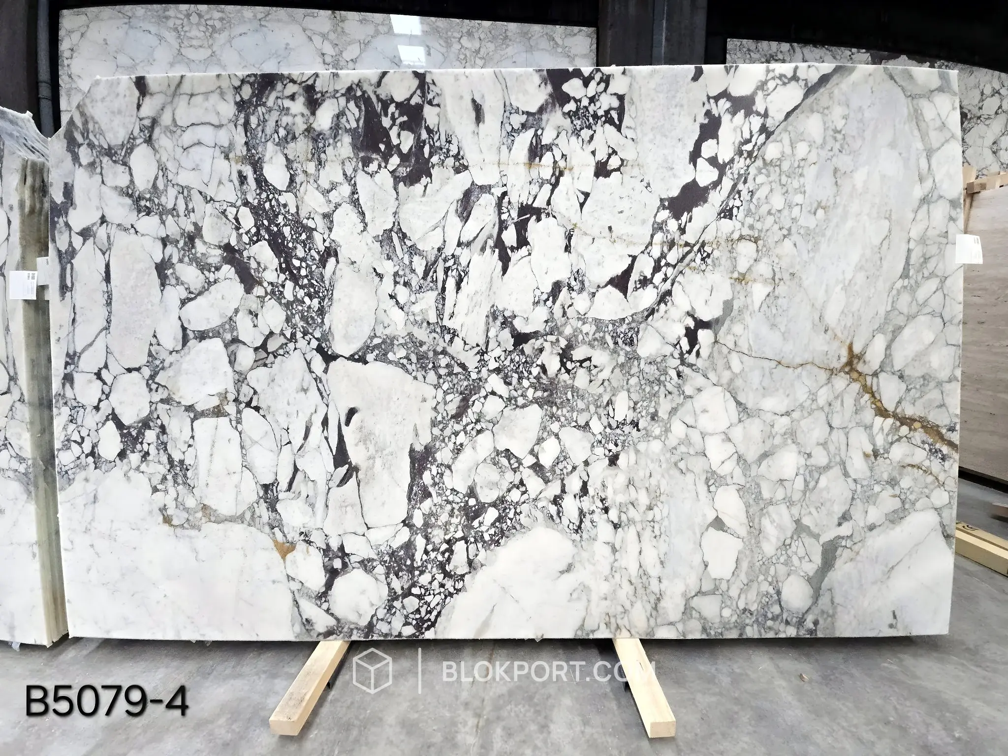 Calacatta Viola Honed Marble, photo 1 of 12