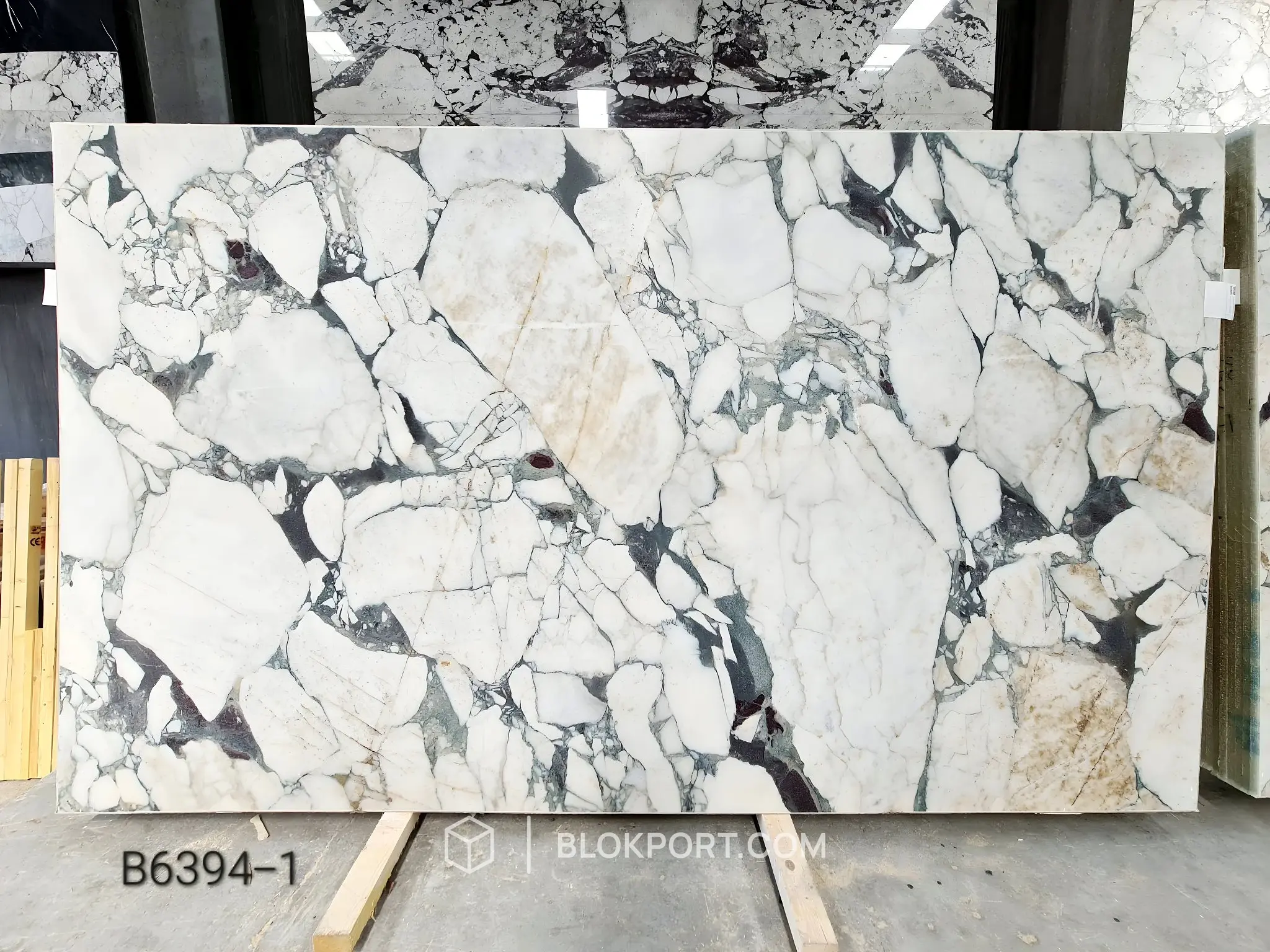 Calacatta Viola Honed Marble, photo 1 of 114