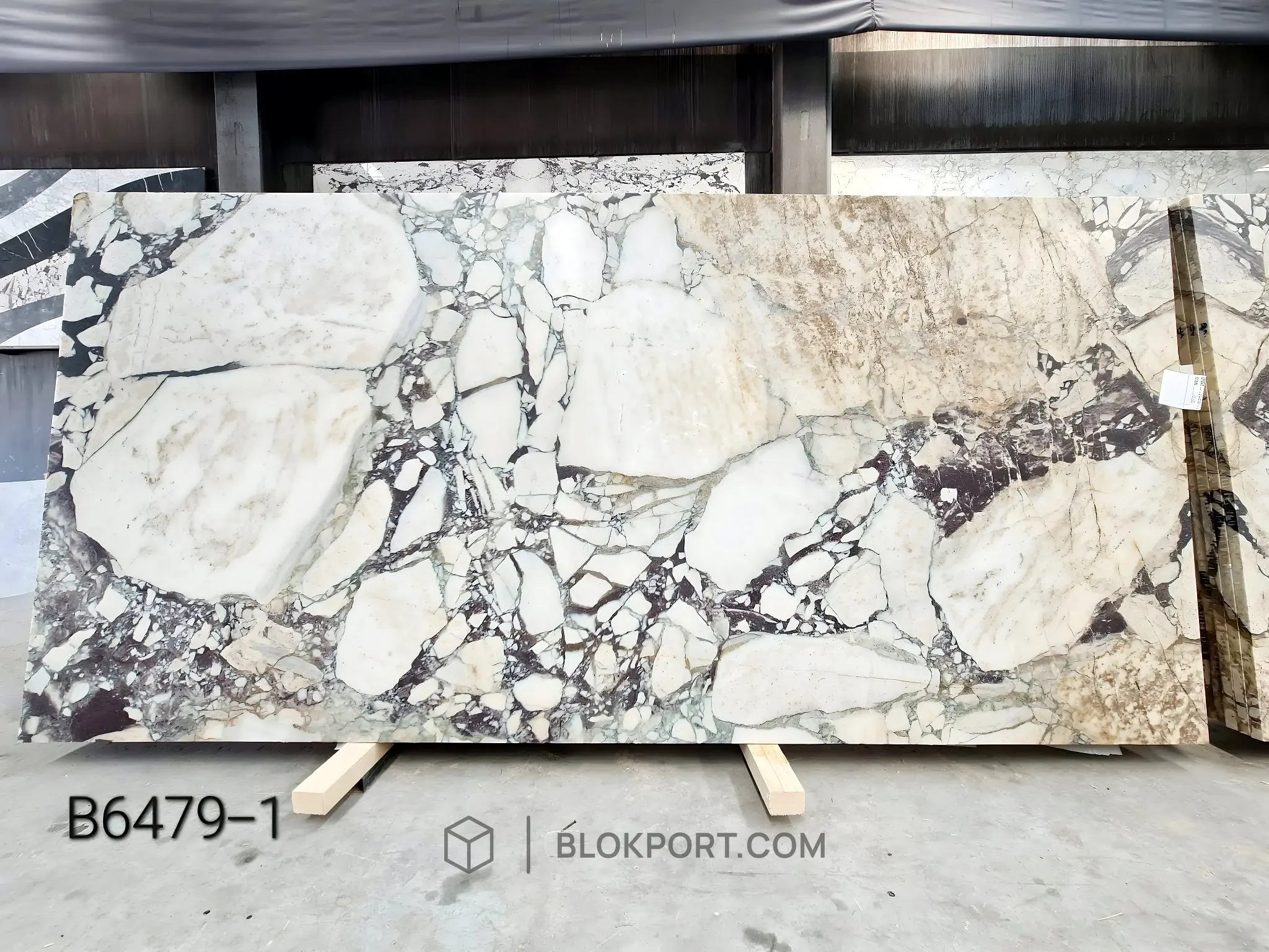Calacatta Viola Brushed Marble, photo 1 of 28