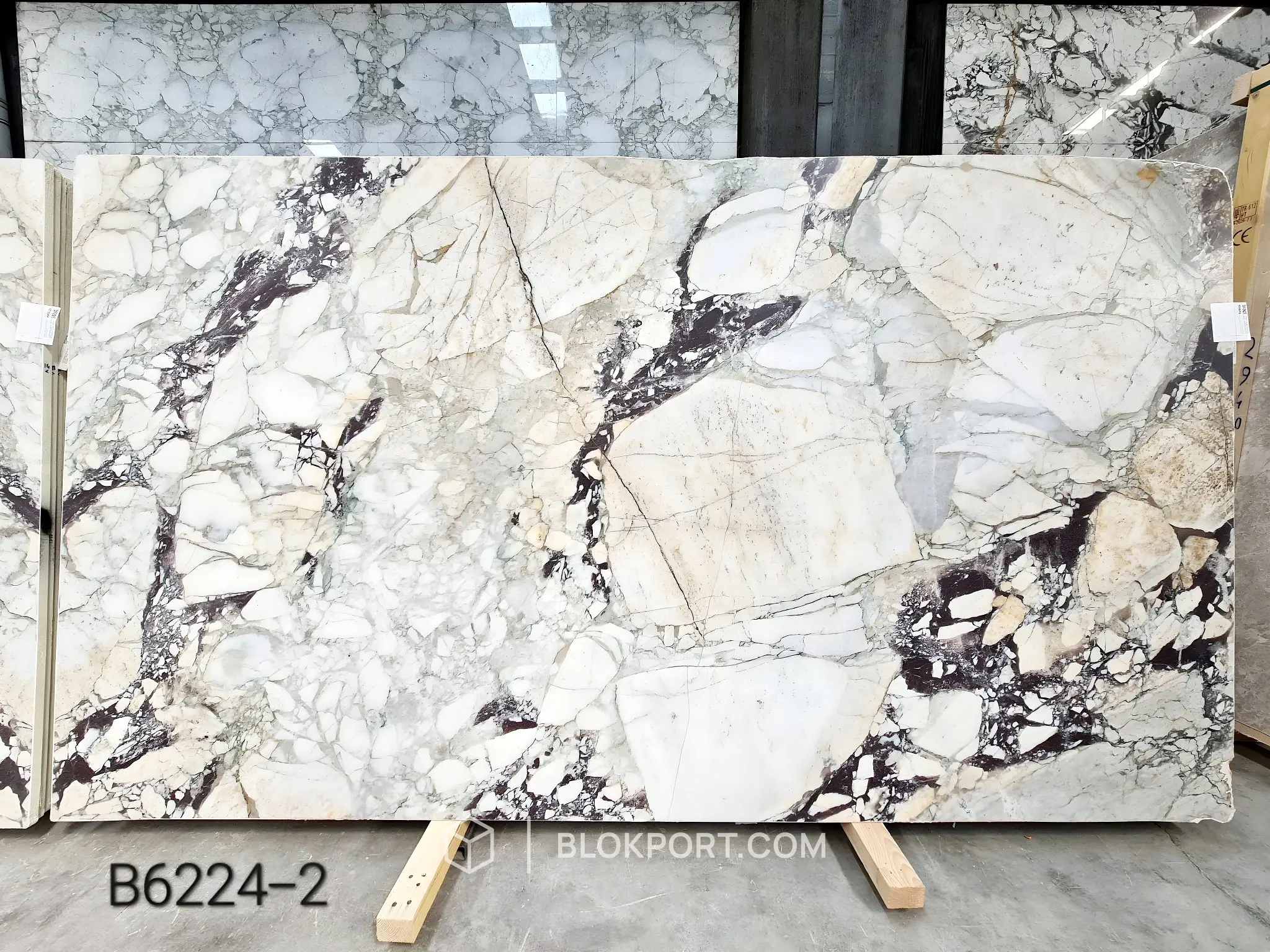 Calacatta Viola Honed Marble, photo 1 of 8