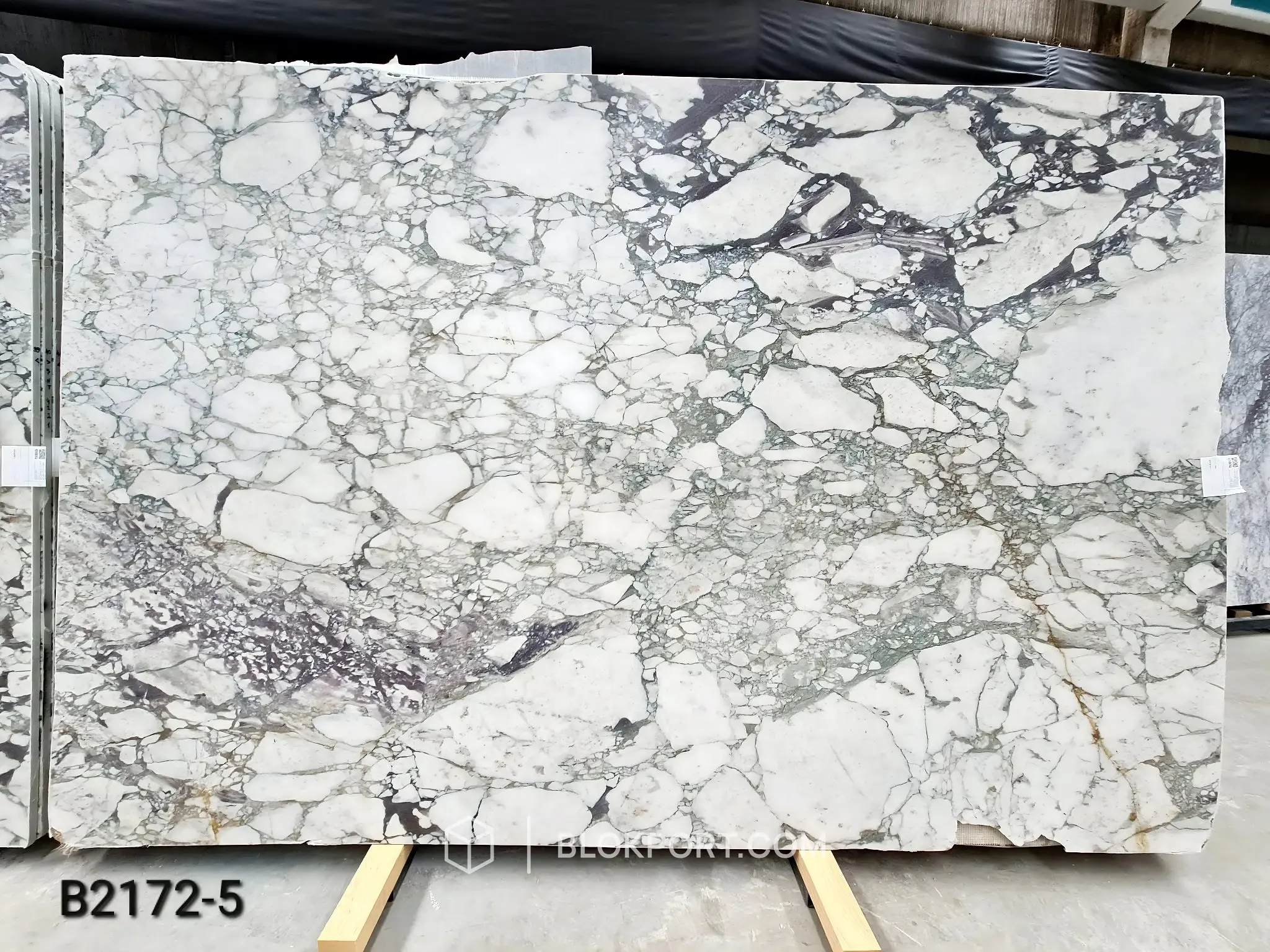 Calacatta Viola Honed Marble, photo 1 of 10